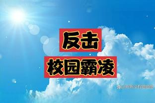 开云app最新官方入口网站截图2